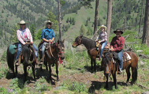 Cream Ridge Morgans, Lenore Idaho